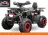 ATV & Quad типа Sonstige nitro motors nitro motors Quad 150cc 4takt, Neumaschine в HARDENBERG (Фотография 3)